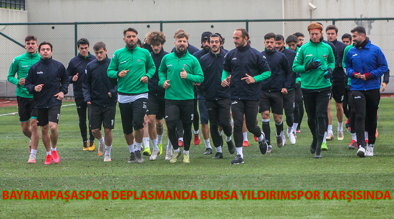 PAŞA, YILDIRIM KARŞISINDA