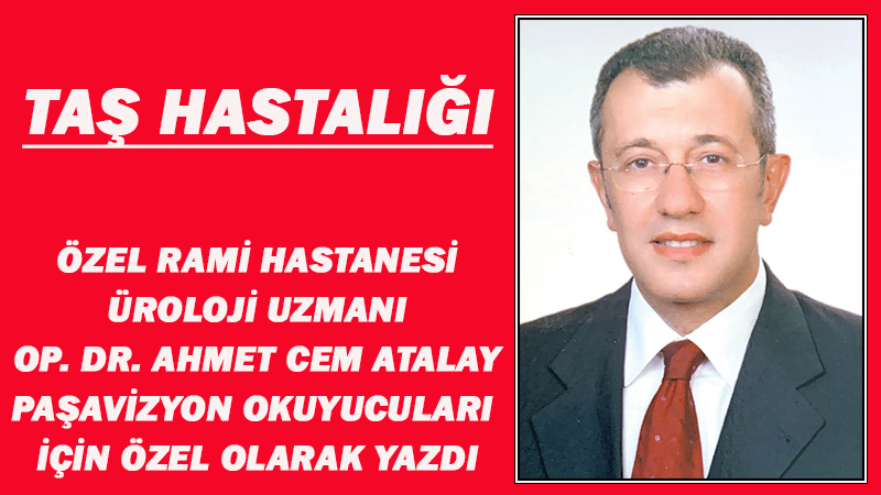  TAŞ HASTALIĞI